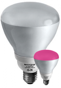 Dimmable CFL R30 Light Bulb Pink