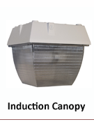 INDUCTION CANOPY LIGHTS