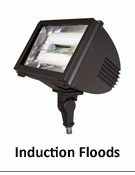 INDUCTION FLOOD LIGHT FIXTURES