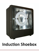 INDUCTION LIGHTING SHOEBOX FIXTURES