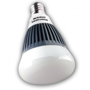 LED DIMMABLE R30 Light Bulb